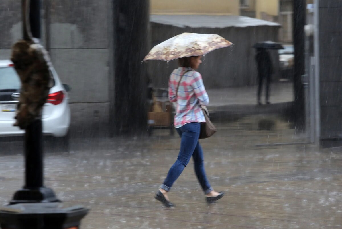    Фото: Baltphoto/Андрей Пронин