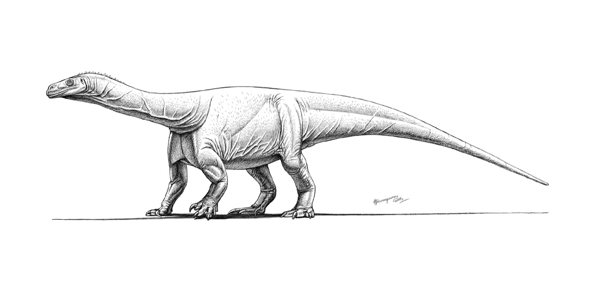 Меланорозавр от Ильдара Гизматулина.