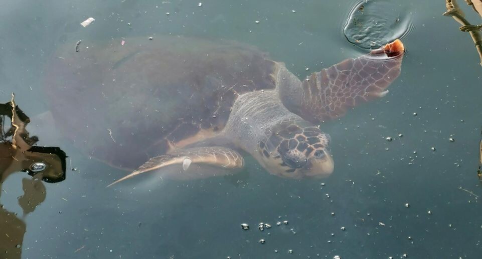    Alexandra Schuler/dpa / www.globallookpress.com