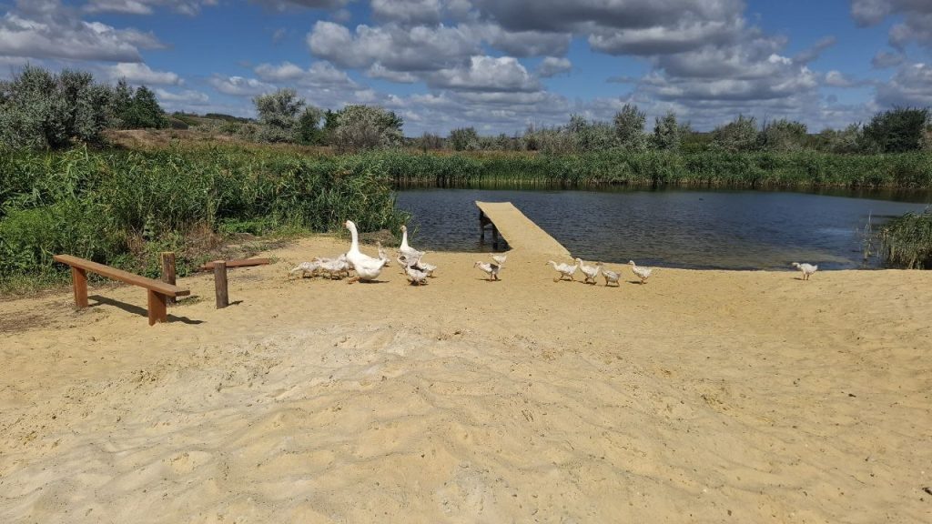   Фото: Е. Хаперская. Галина Ященко