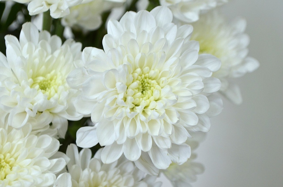 Из открытых источников интернета.