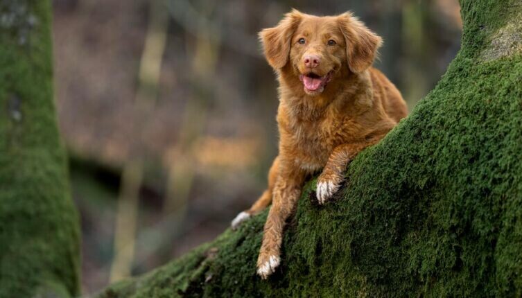     Фото: Jamie Street on Unsplash