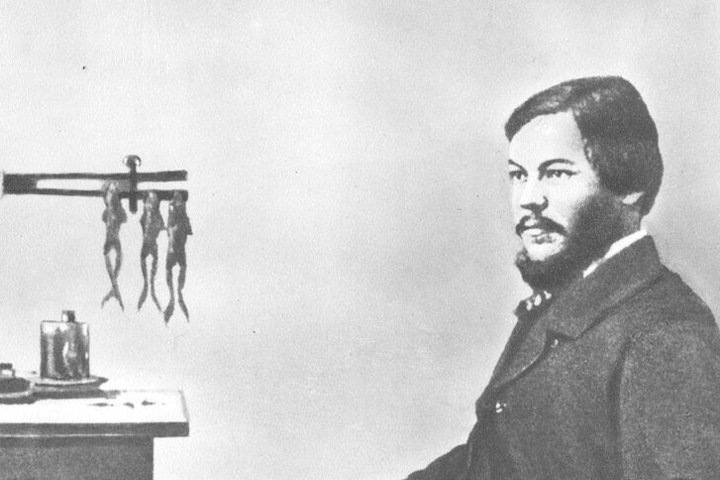   общественное достояние