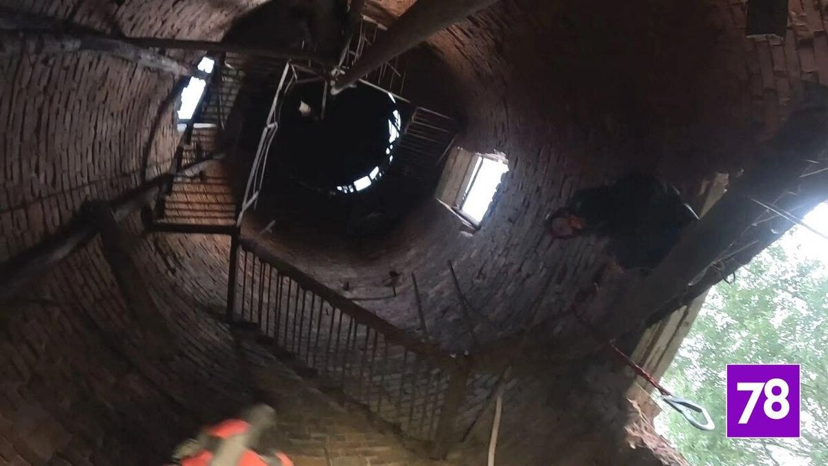    Фото: vk.com/koshkispas