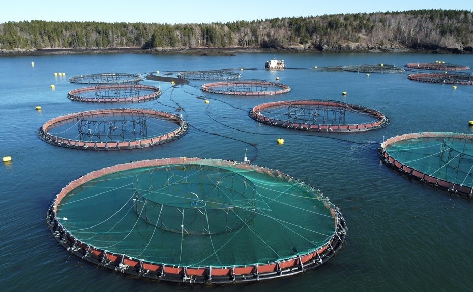    Автор фото: Leo W Koval / Shutterstock / FOTODOM