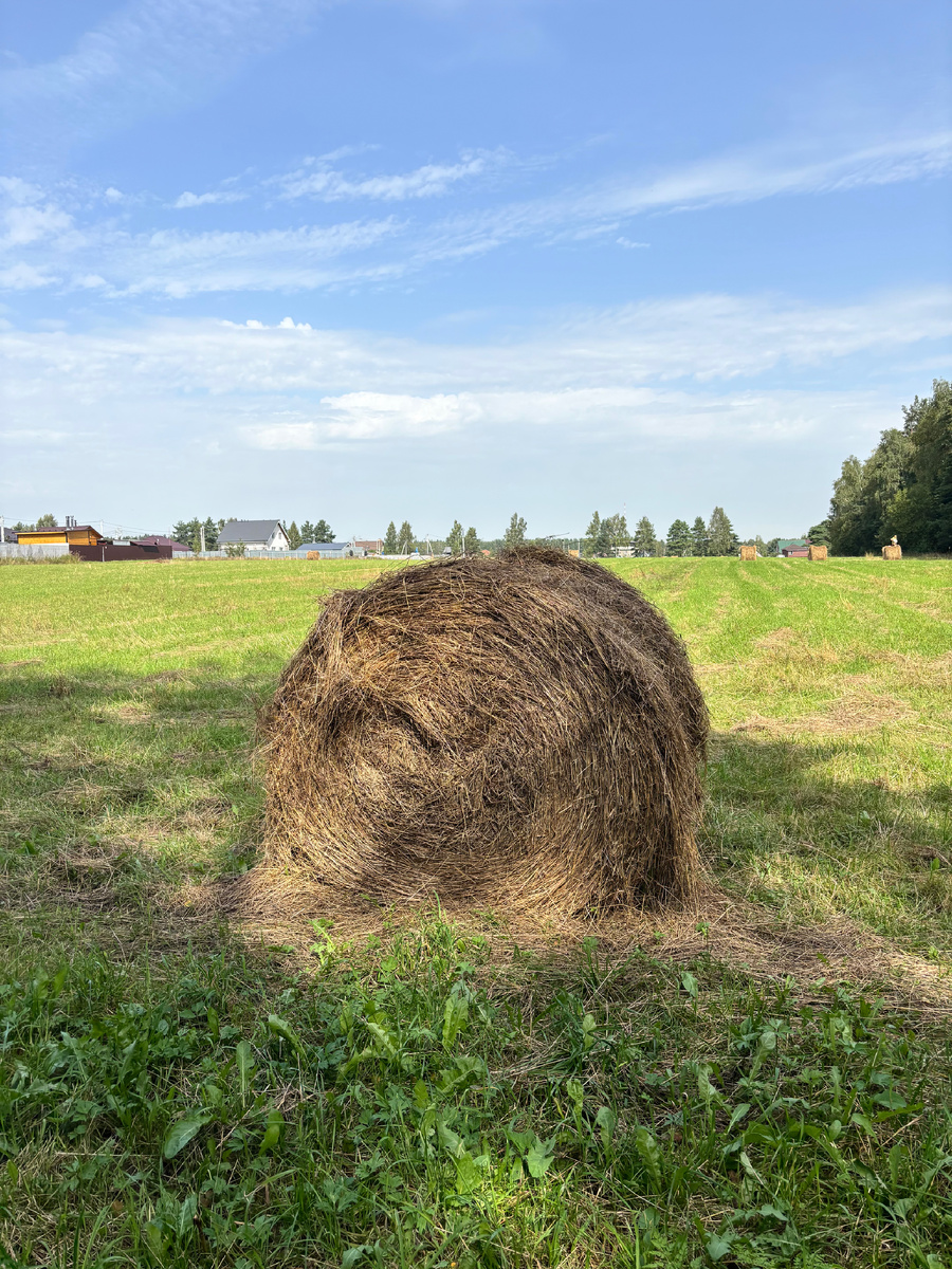 Все фото в статье автора