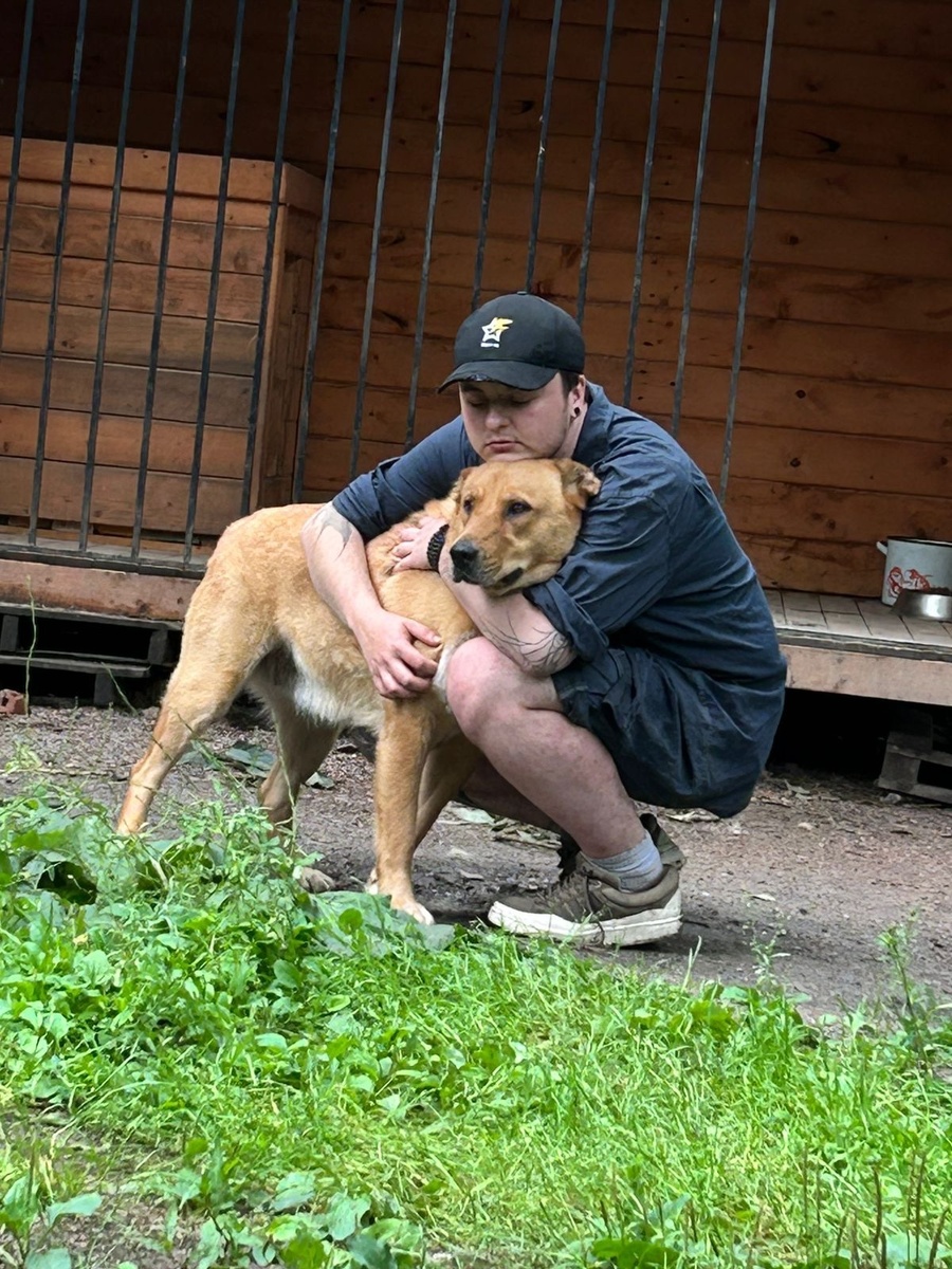 Фото: предоставлено АНО Приют для животных «Преданное сердце»