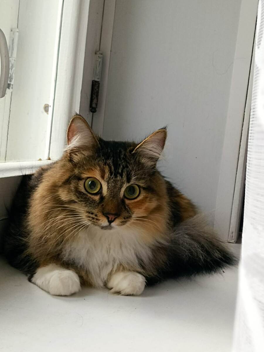 Опять что-то замышляет! )) 