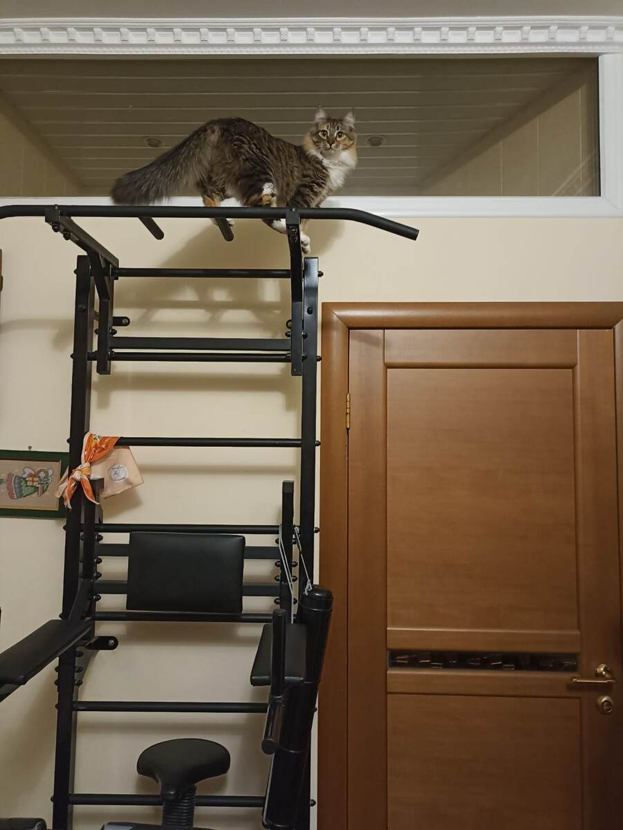 Турник успешно освоен! 