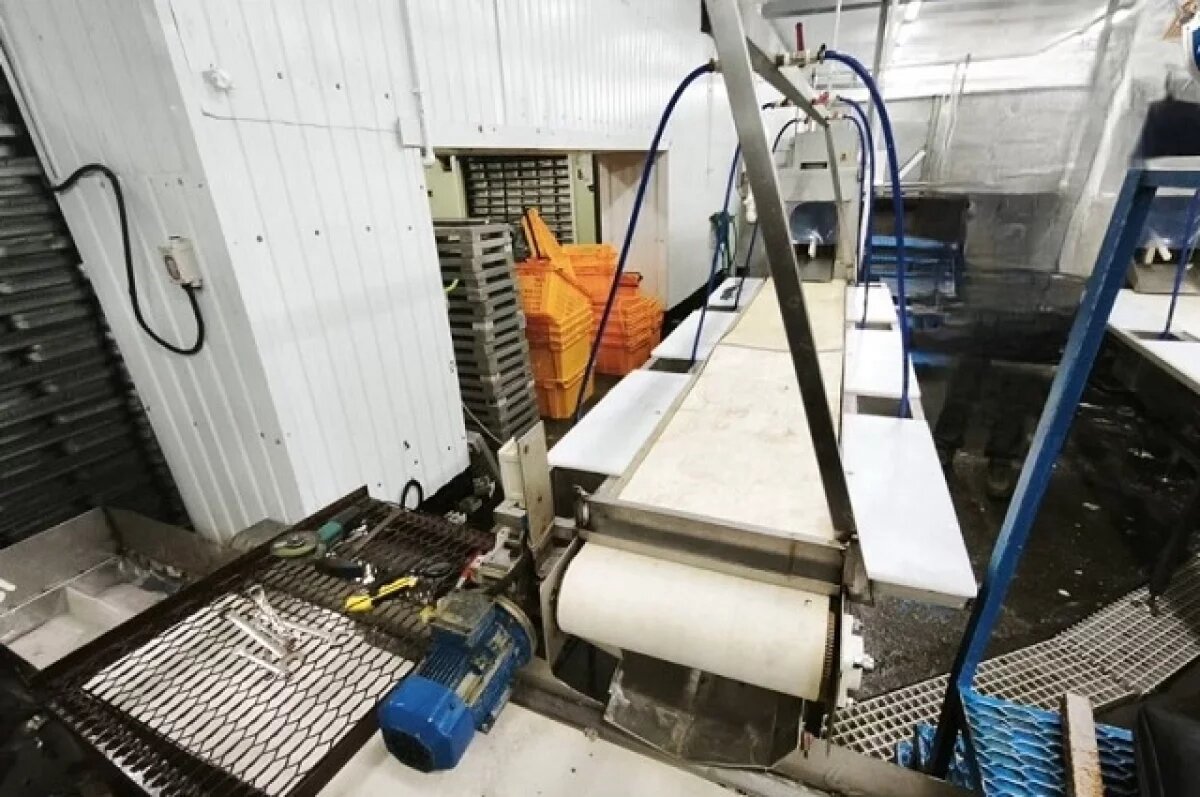    Руку сотрудницы рыбодобывающего предприятия на Камчатке затянуло в конвейер