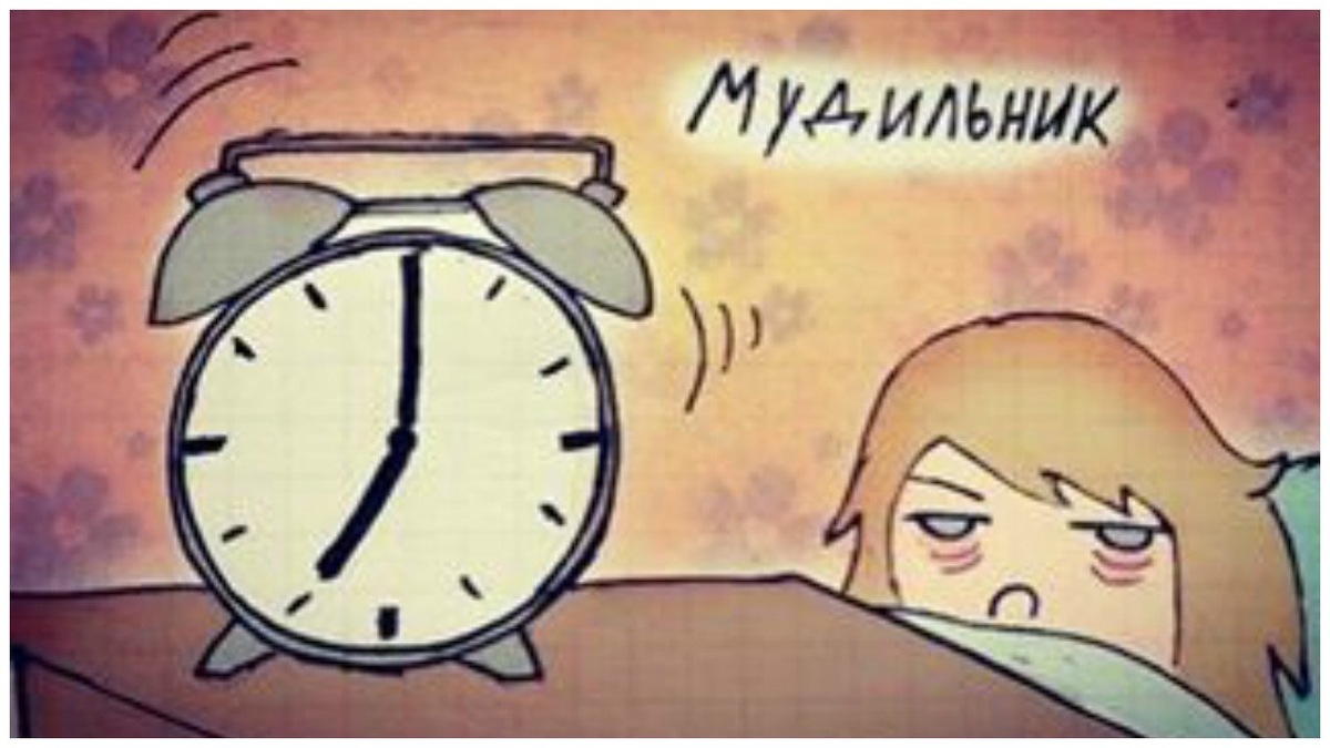 И так каждое утро...