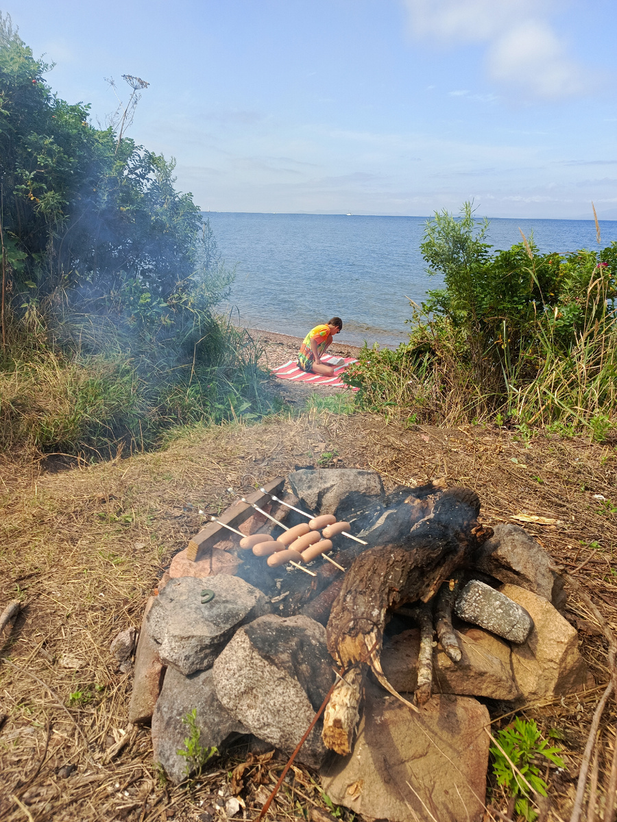 Как я провел лето. Сочинение Клмпанец Данилы Дмитриевича