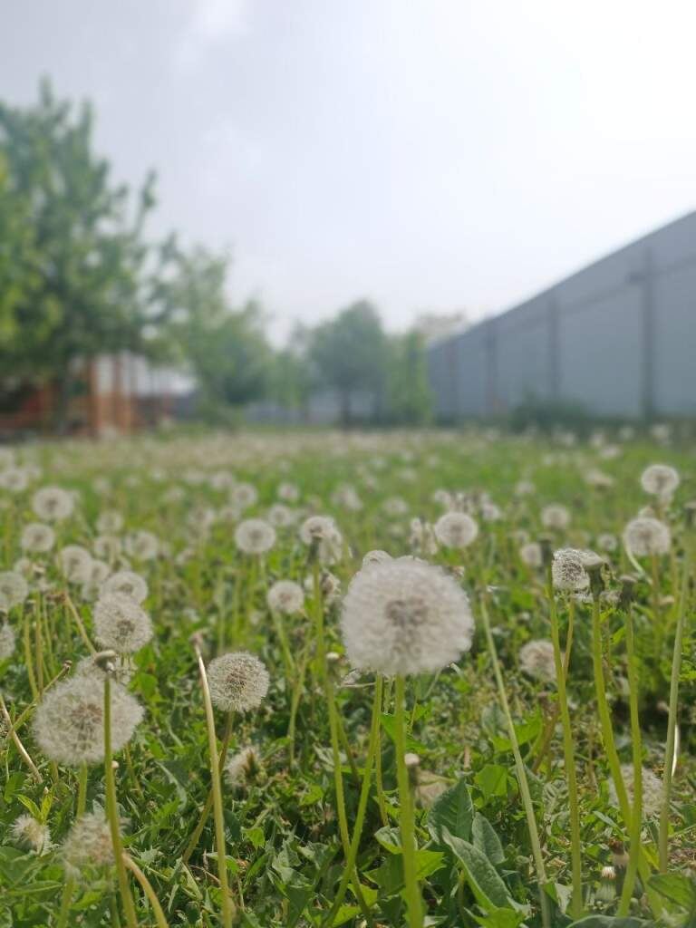    Фото Ивана Валюхова Валерия Стальная