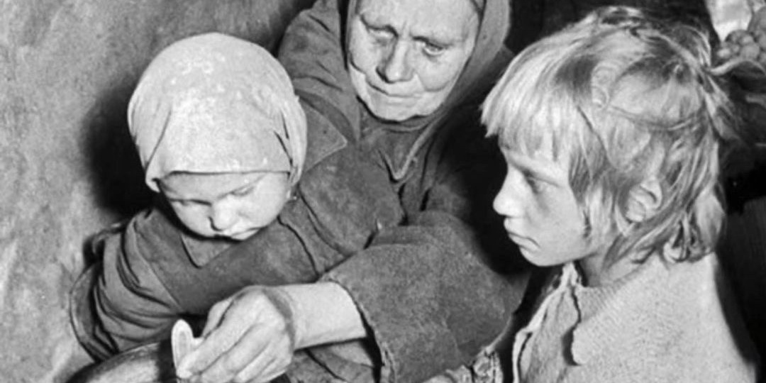 Когда мох становится хлебом