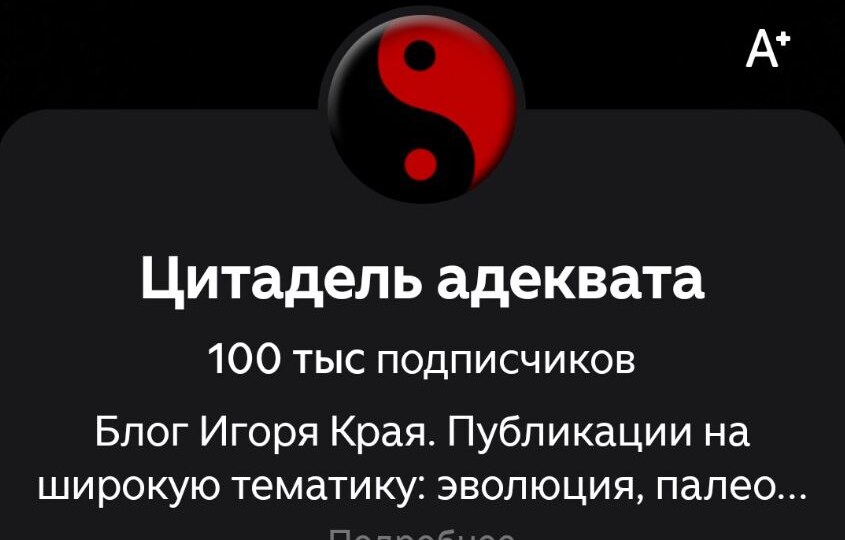 Стотысячный рубеж «Цитадели»: О блогерах