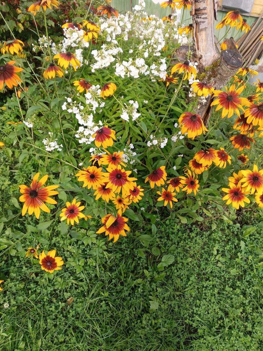 фото автора: а это душевная память о белорусской деревне в гостях у тети