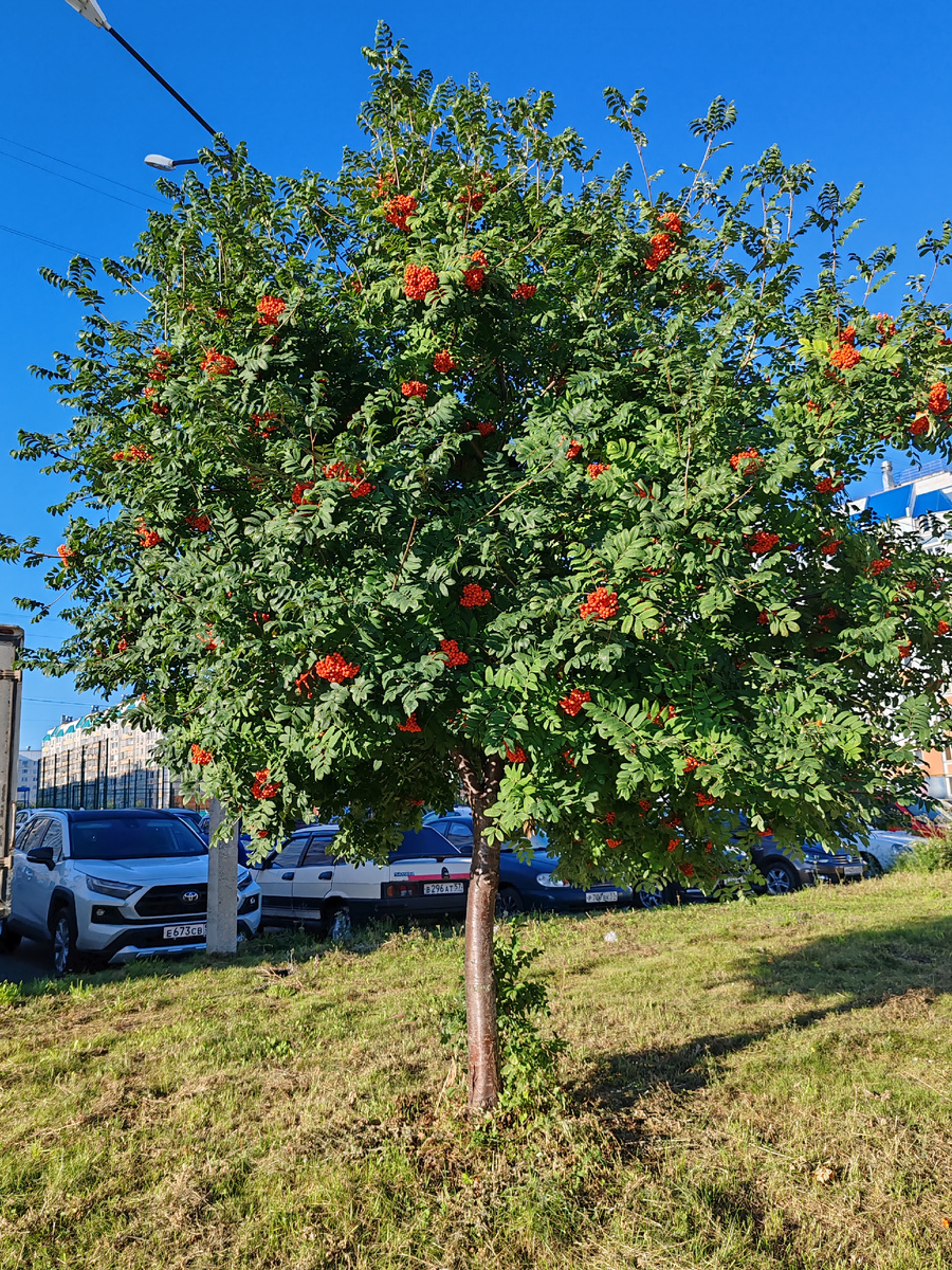 Фото автора канала. 