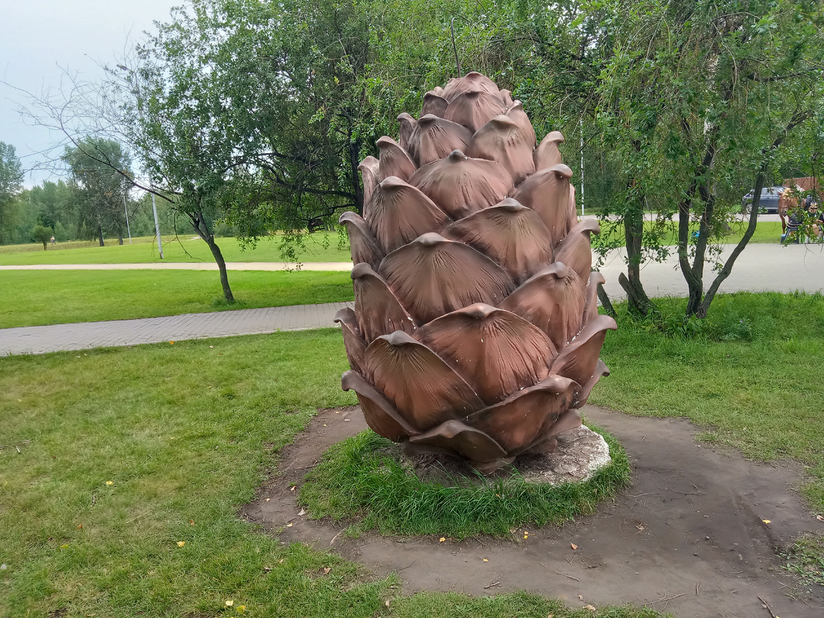 первая шишка в восточной части острова