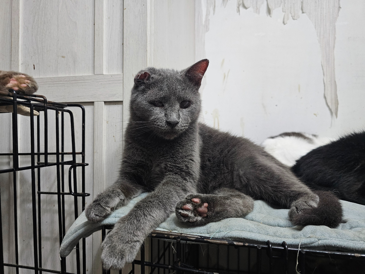 Слепой Серега