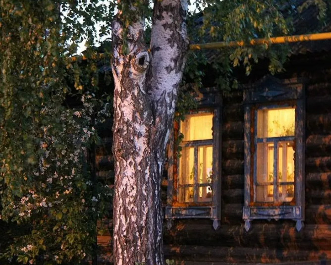 Яндекс картинки