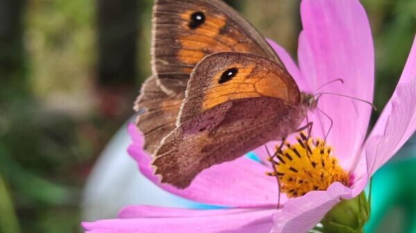    © Sputnik / Тамара Беляева