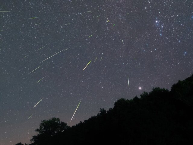    Фото: 123RF/majochudy