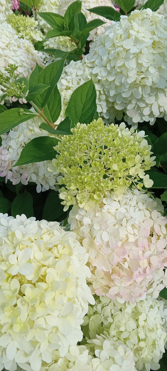 Из архива автора