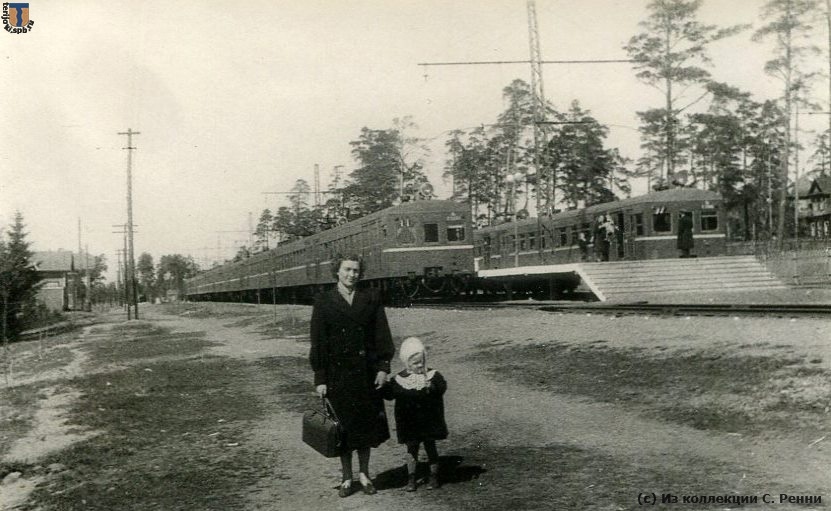 Два пригородных поезда встречных направлений остановились на разъезде Тарховка Сестрорецкой линии. Фото 1953 г.