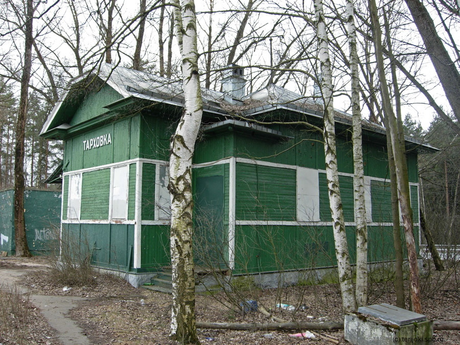 Здание вокзала Тарховка 2015 г.