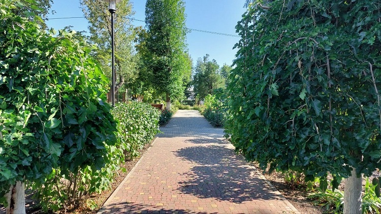    Фото Тг-канала парка "Город Детства" Редактор