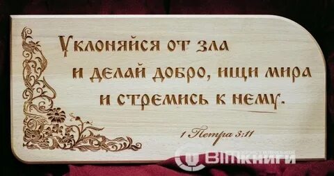 Из открытых источников Яндекса.