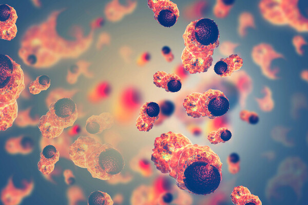crystal light/Shutterstock/FOTODOM  