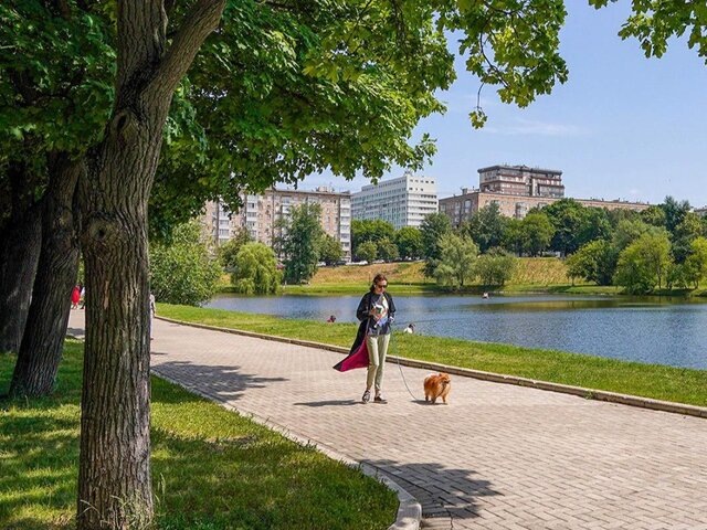    Фото: портал мэра и правительства Москвы/Евгений Самарин