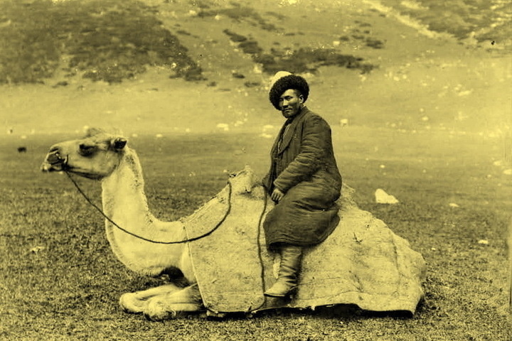 Записки хронолога