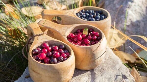    © Sputnik / Илья Тимин