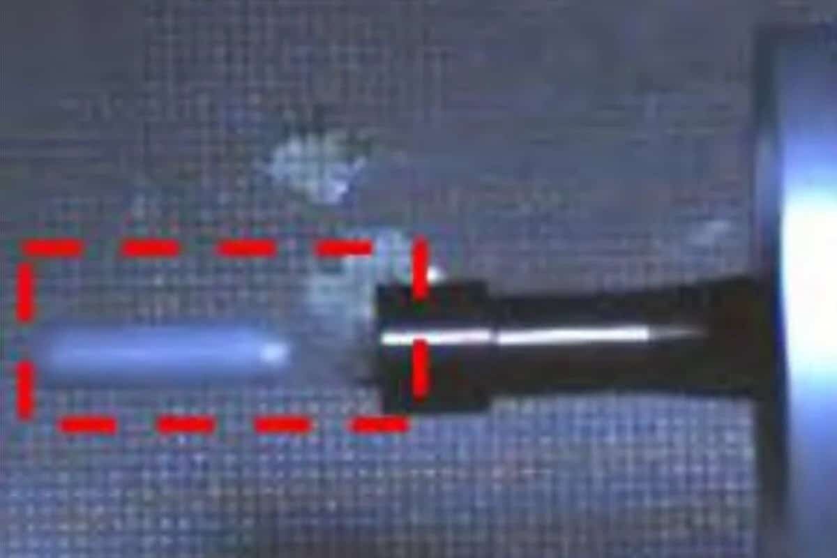    Выстрел капсулы с сетью / © SCMP