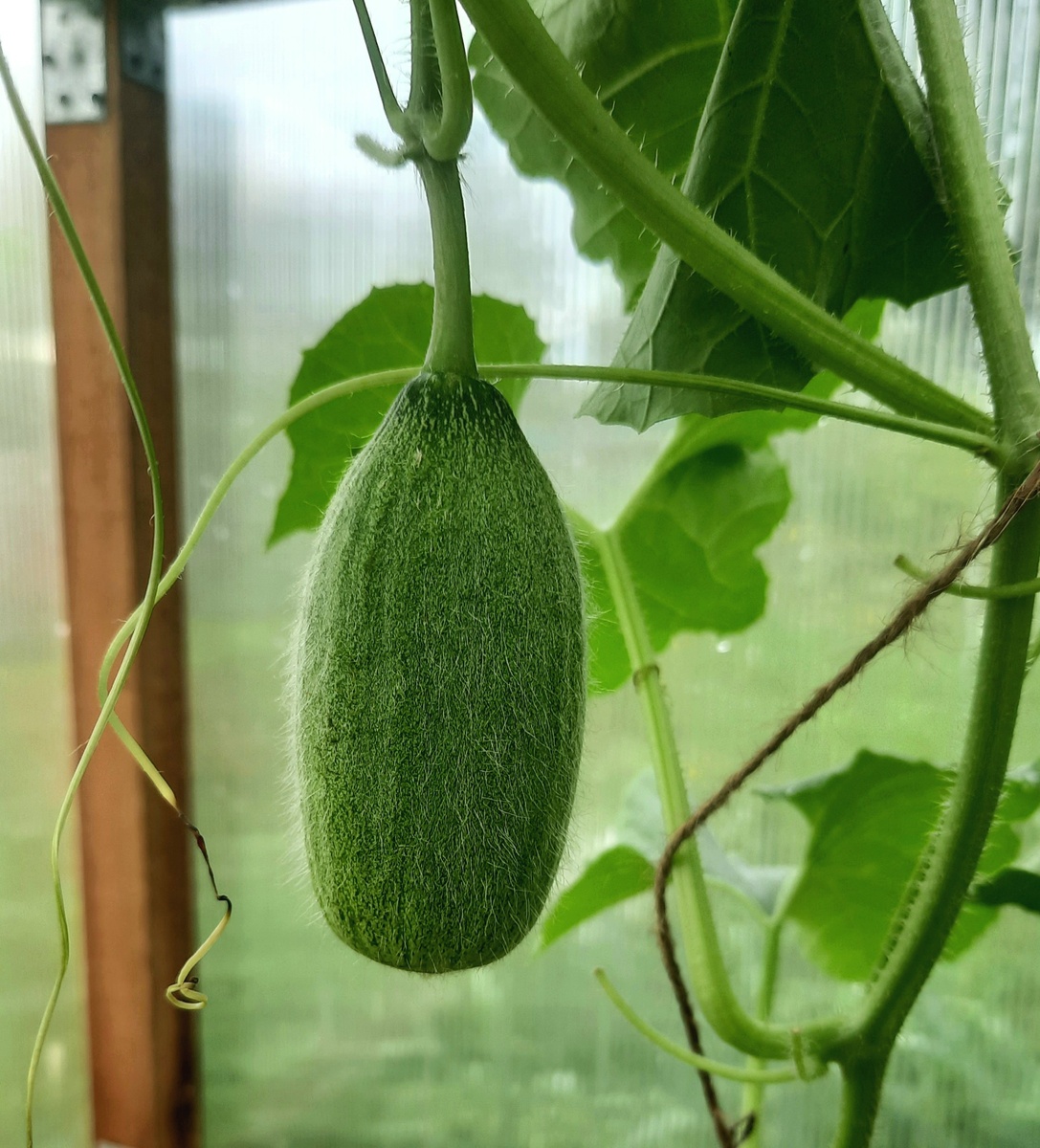 Фото автора.