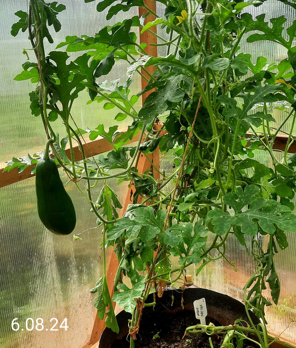 Фото автора.