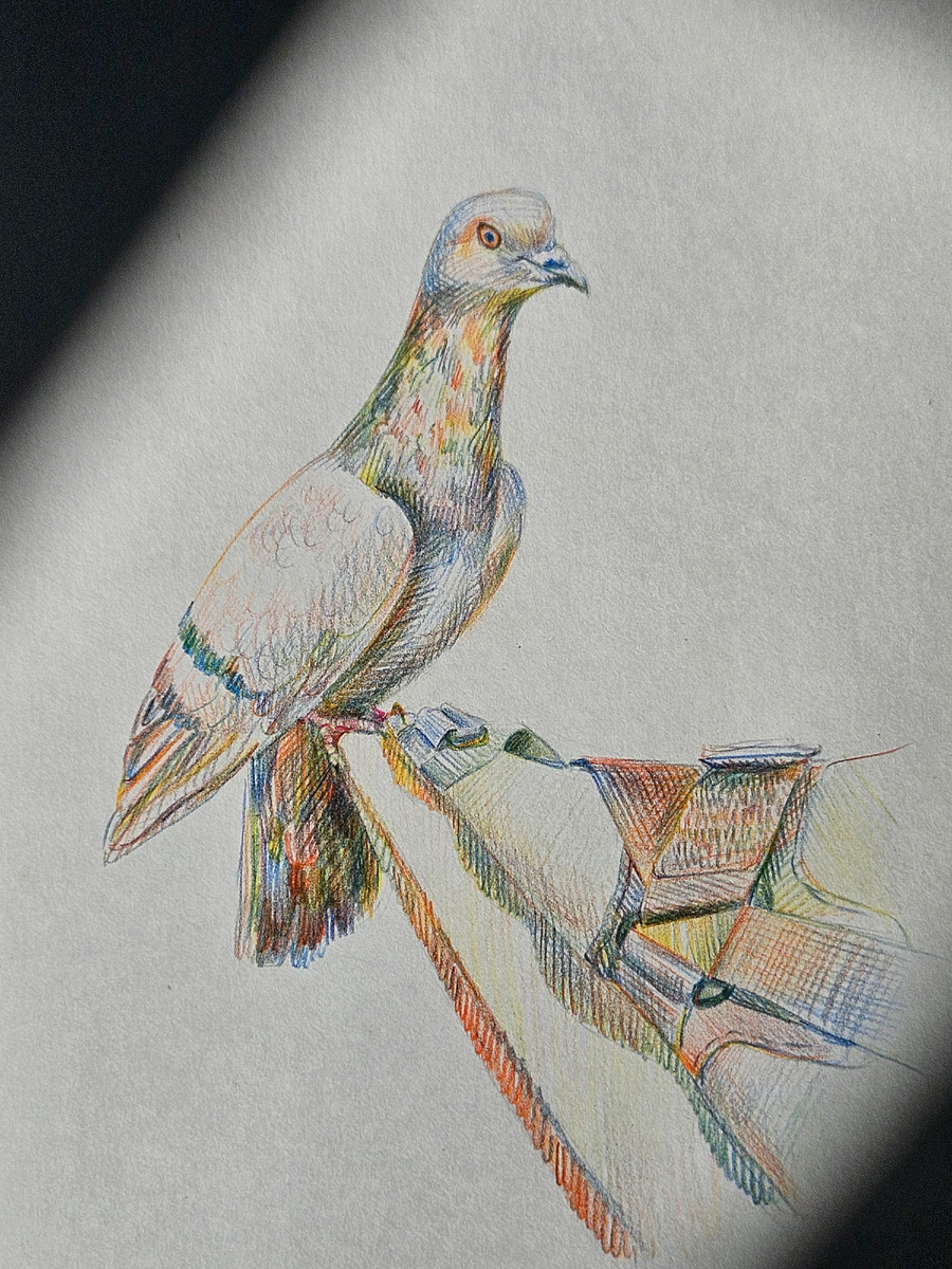 Показалось интересным, как падал свет из окна