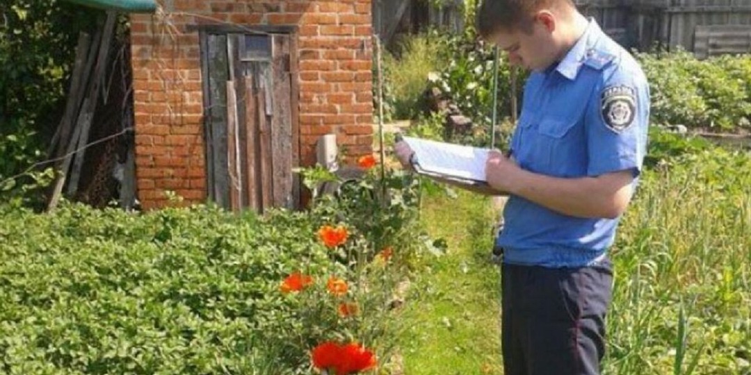 19 растений, которые нельзя выращивать на своем участке. За них можно получить даже срок