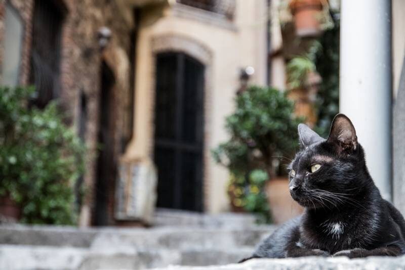 Благородный дон по имени Марко.