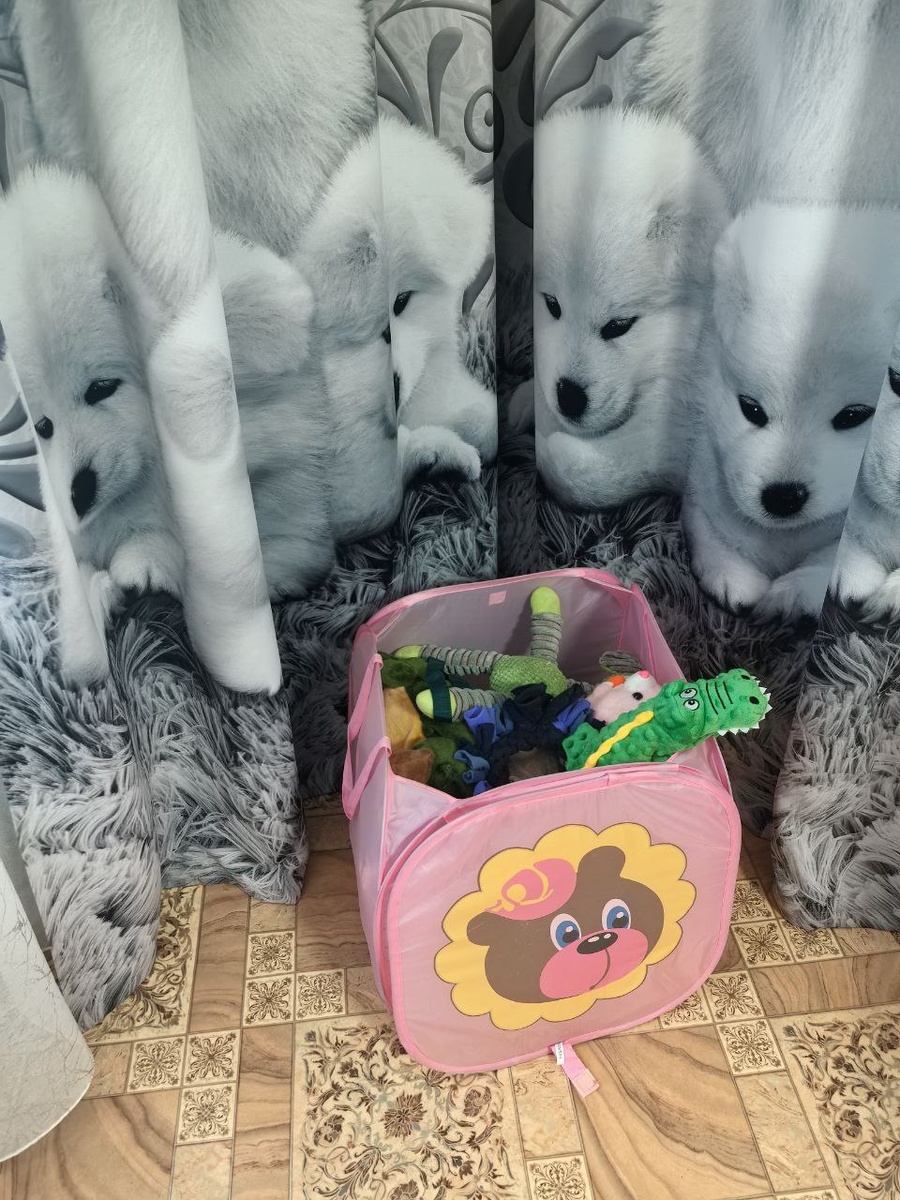 Ящик Пандоры