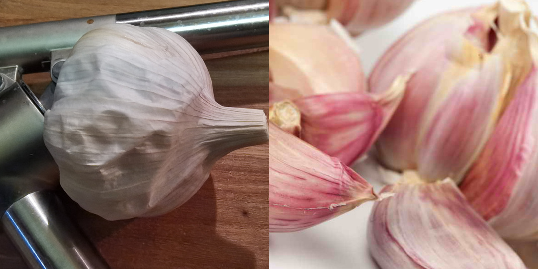 Выкопал чеснок в августе и храню 11 месяцев без высыхания. Коробка из-под обуви работает лучше дорогих контейнеров