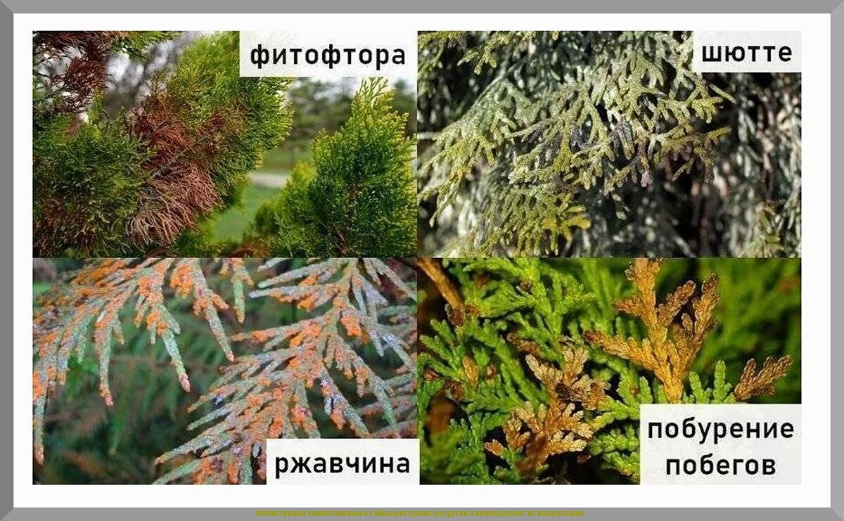 https://vk.com/photo-159774511_457272877
