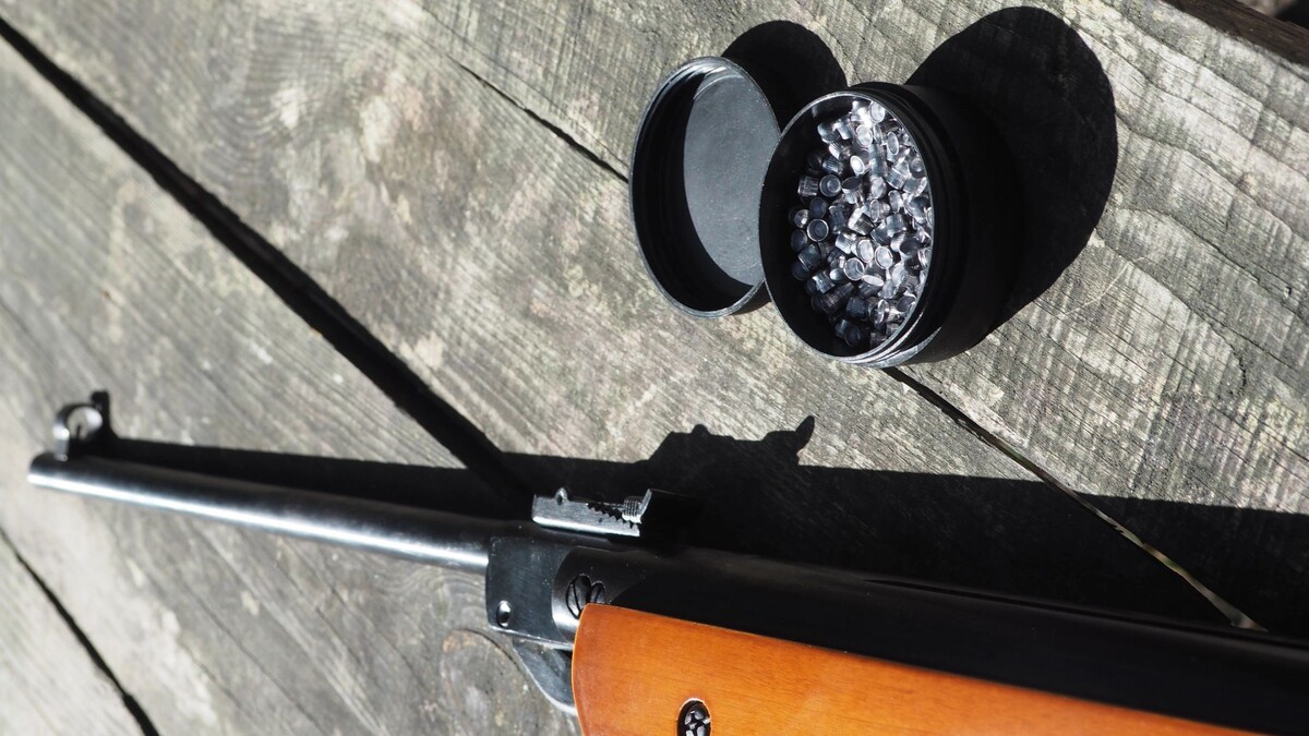    Фото: Romaniuk Kateryna/Shutterstock/Fotodom