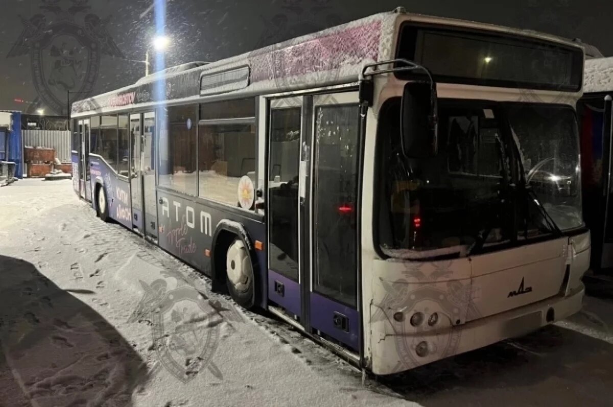    В Ростове осудят водителя, который дверью автобуса защемил ногу пенсионерке