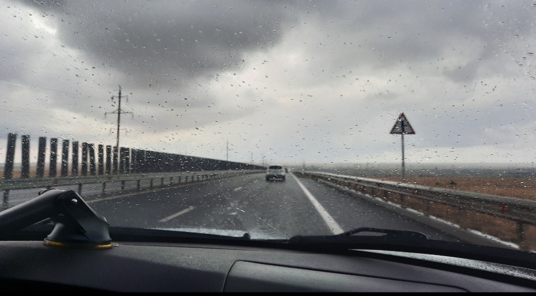 Дорога в парк