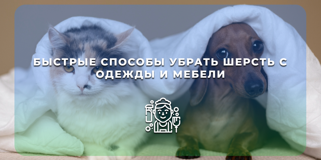 Быстрые способы убрать шерсть с одежды и мебели