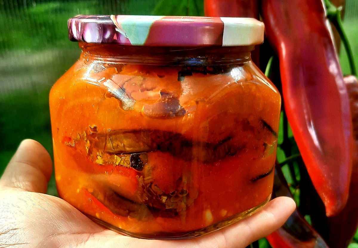 Фото автора."Имам" урожая 2024г.