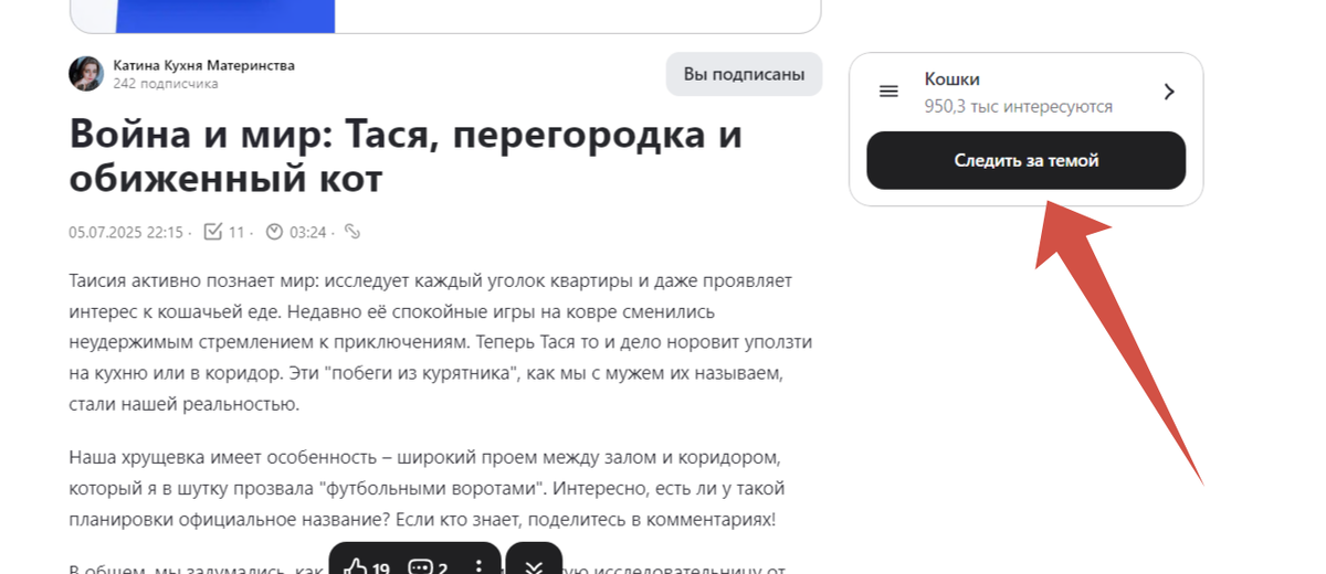 Это тема, которую присвоили статье. Отчасти верно, Но целевая аудитория у канала другая.
